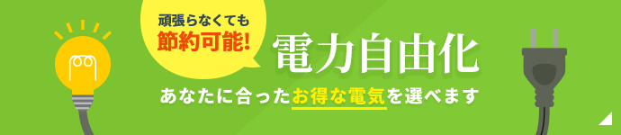 電力自由化 あなたに合ったお得な電気を選べます